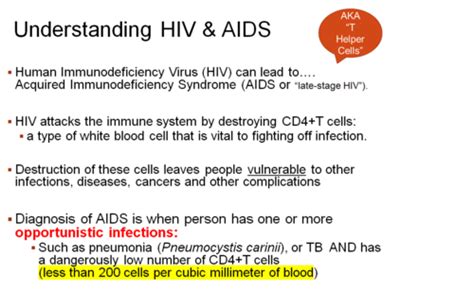 hiv is quizlet|hiv and aids quiz quizlet.